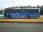 ANA kuma castle bus.jpg